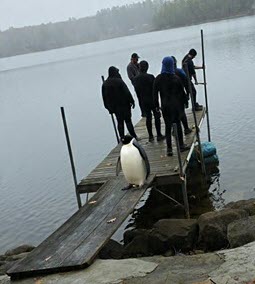 Dock Removal Crew 2023