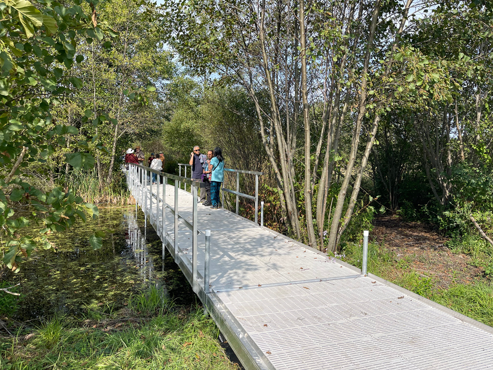 Commercial Dock at Viles Arboretum