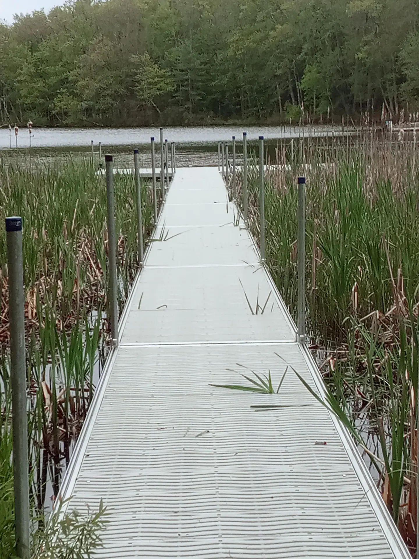Bertrand hybrid dock system 2